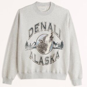 Abercrombie & Fitch RARE Denali Sweatshirt